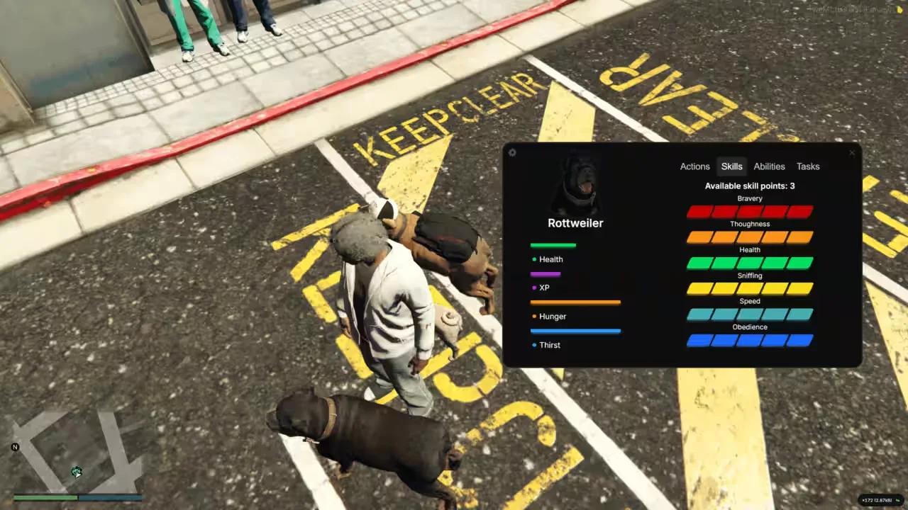 FiveM Pet System — screenshot 2
